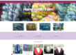 Wordpress e-commerce website using woocomerce